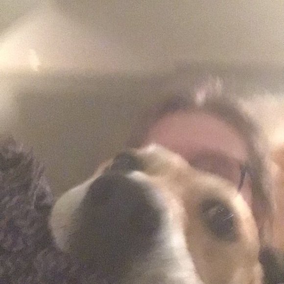 Meet your Posher, Tiana - Picture 1 of 1